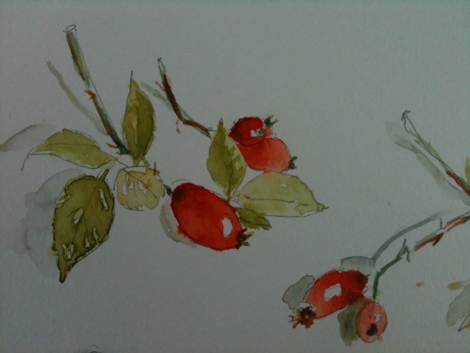 Stage d&rsquo;Aquarelle aux Couleurs&nbsp;d&rsquo;Automne