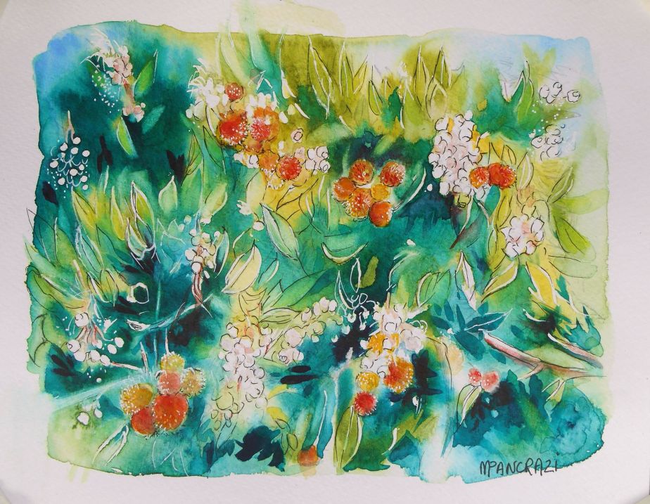 Marché de Noël à Pietra di Verde&nbsp;!